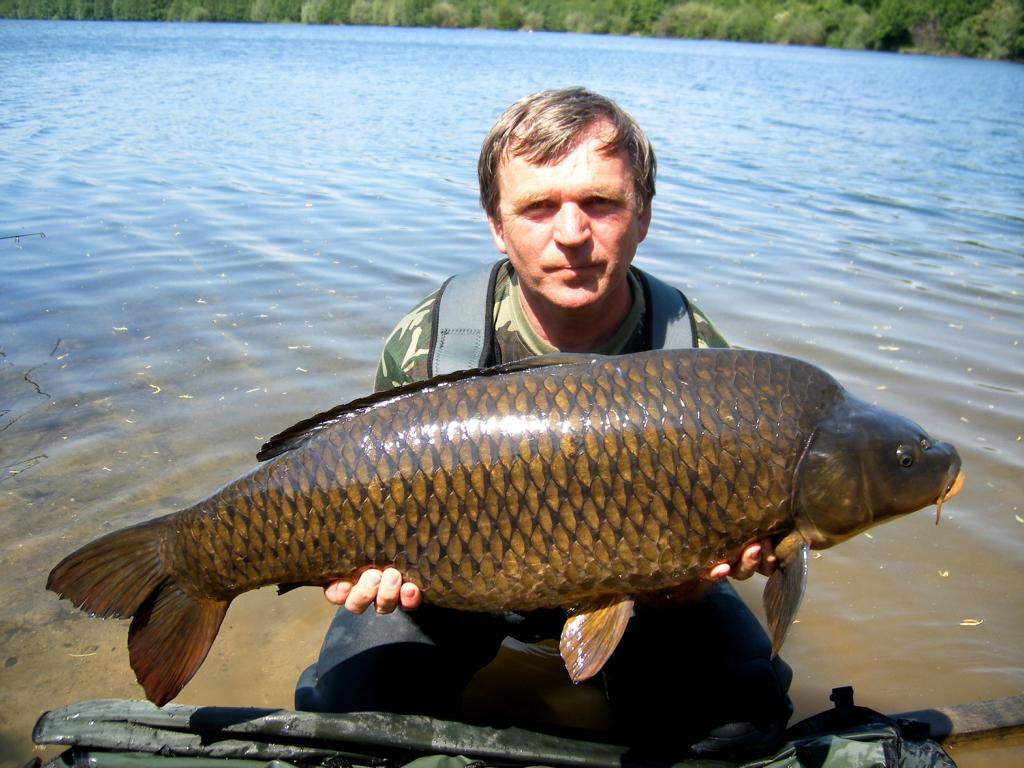 Karpfen 1