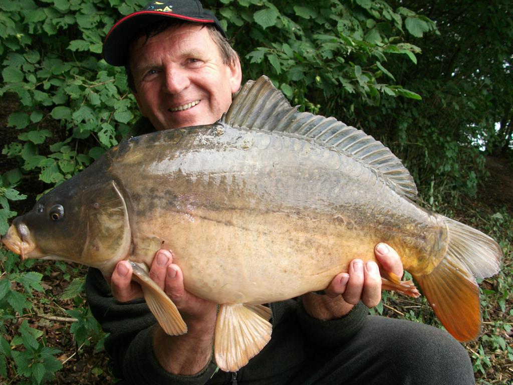 Karpfen 3