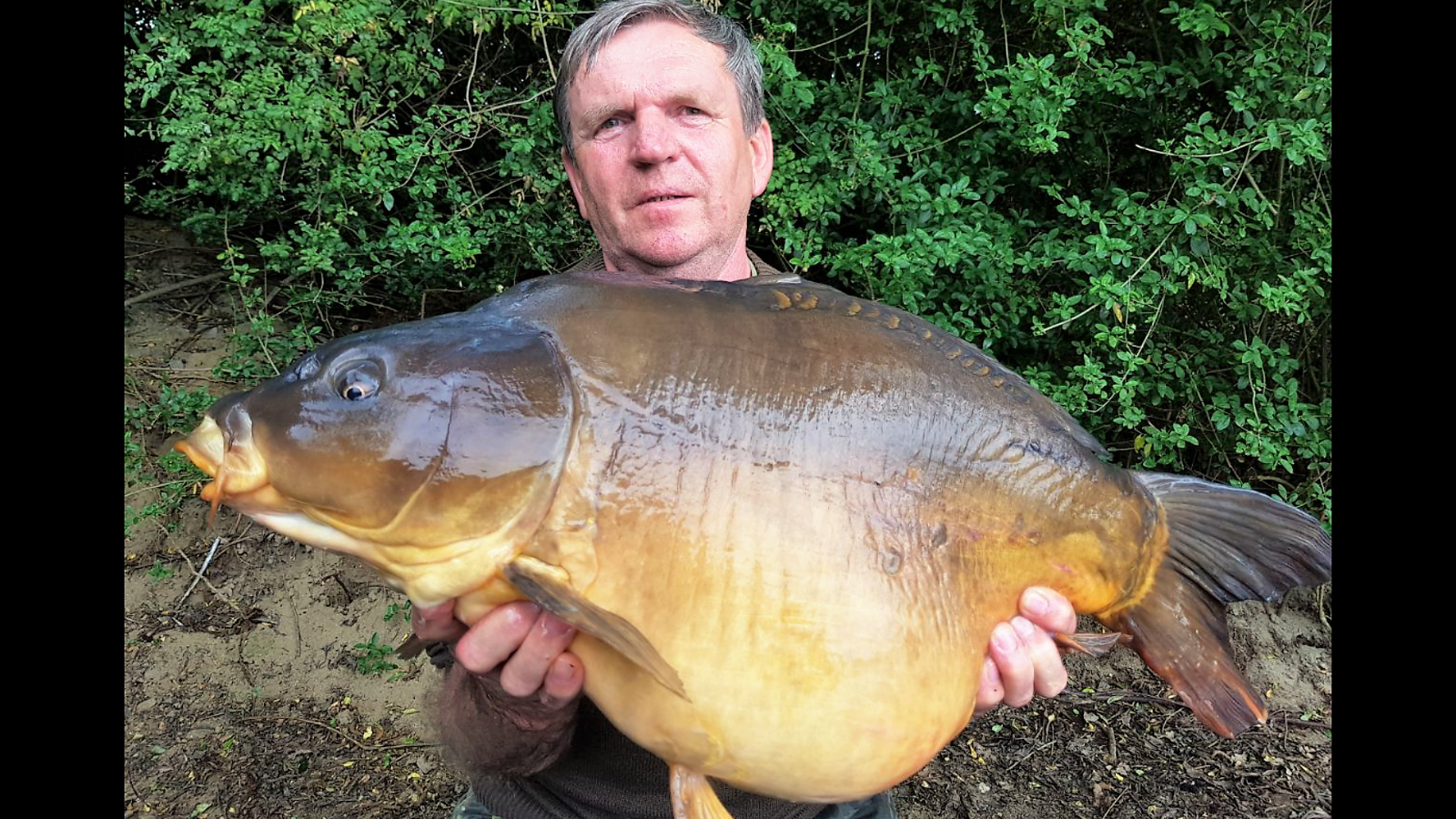 Screenshot 2017 05 21 18 33 21