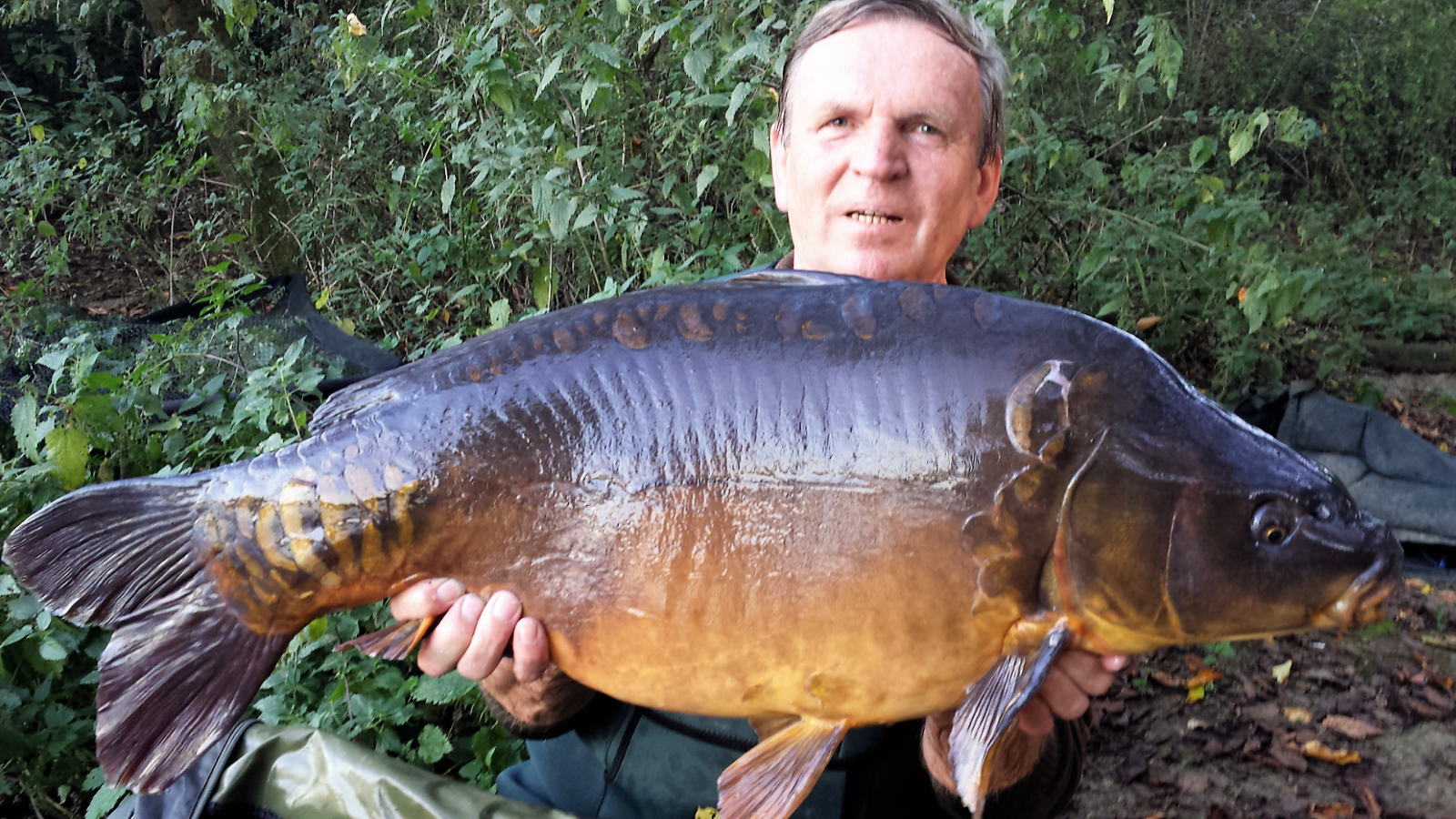 Screenshot 2017 05 21 18 39 12