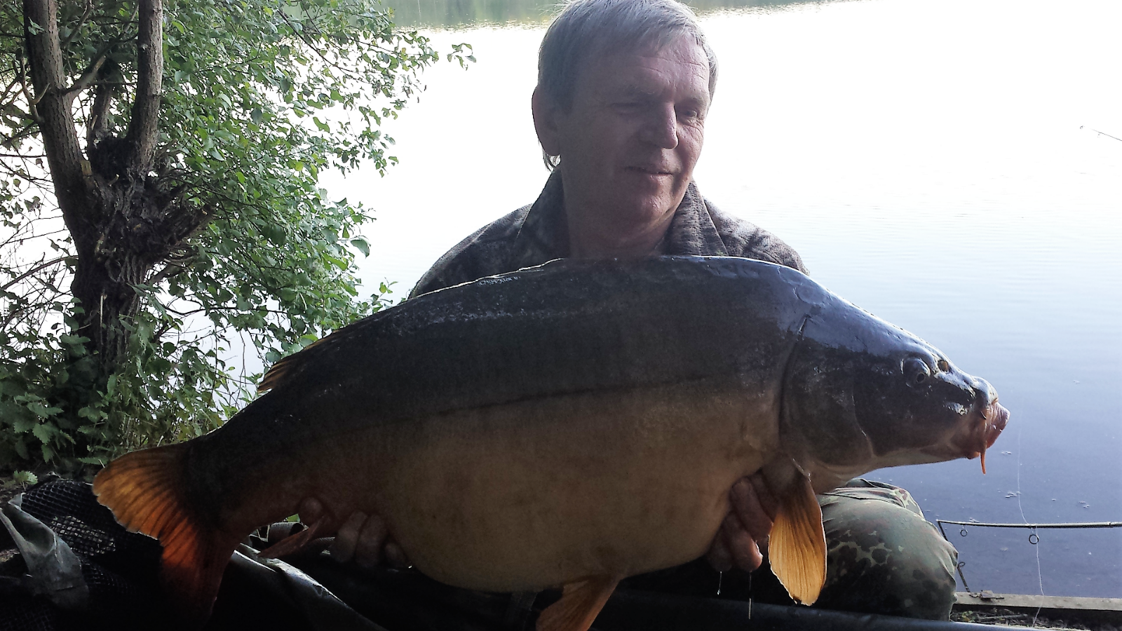 Screenshot 2017 10 01 19 34 23